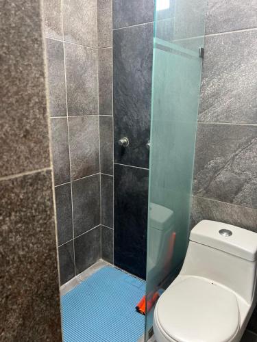a bathroom with a shower with a toilet and a glass door at comfortable and nice loft, great location in Aguascalientes