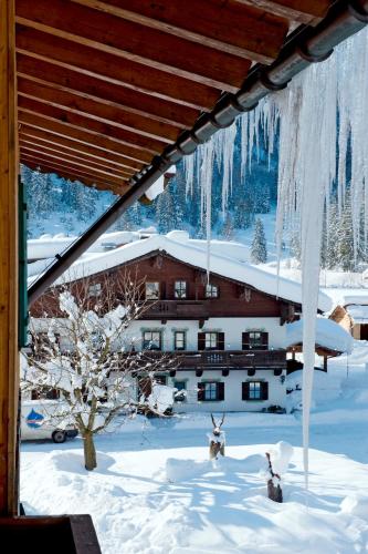 two deer in the snow in front of a lodge at Hotel Gut Kramerhof in Kirchdorf in Tirol