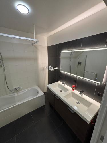a bathroom with a sink and a tub and a mirror at Stylish, modern & spacious apartment in Brussels in Brussels