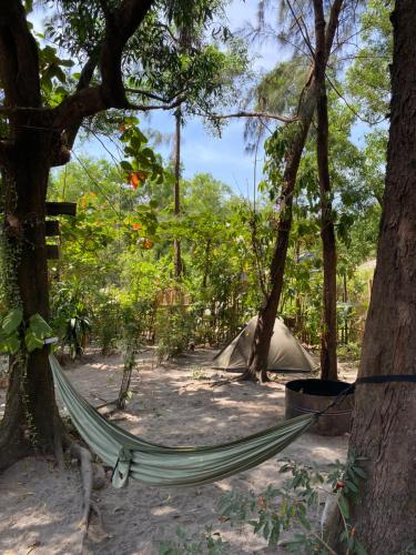 a hammock in a forest with two tents at Uwak Gallery in Zambales