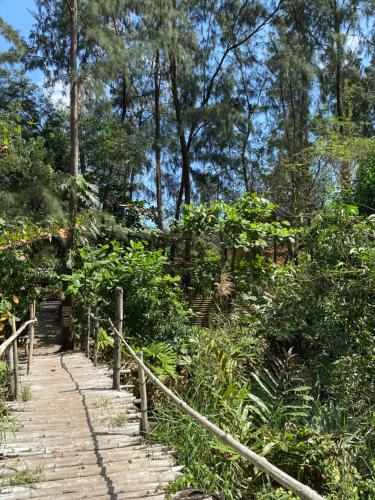 a wooden path leading through a forest with trees at Uwak Gallery in Zambales