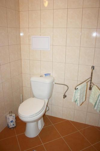 a bathroom with a white toilet in a tiled room at Ubytování Sušice in Sušice