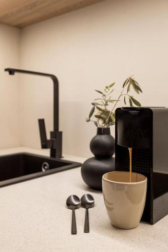 Old Town Olive Studio Apartment