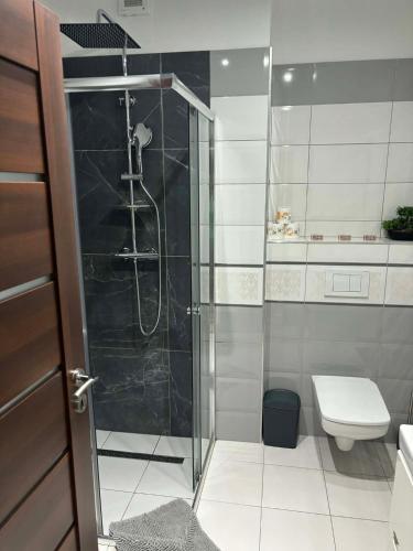 a bathroom with a shower and a toilet at Súkromný apartmán in Senec