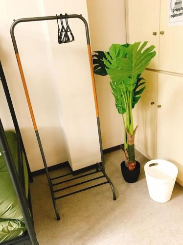 a bathroom with a plant next to a toilet at Joinus Ise Apartment by Tranova in Ise