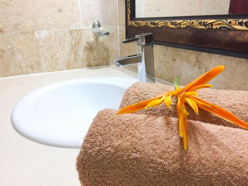 a flower sitting on top of a bathroom sink at Las Galeras Hotel in Las Galeras