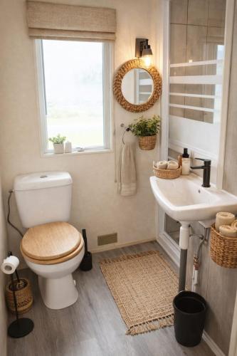 a bathroom with a toilet and a sink and a window at Le Bruant des Roseaux in Villegusien Le Lac