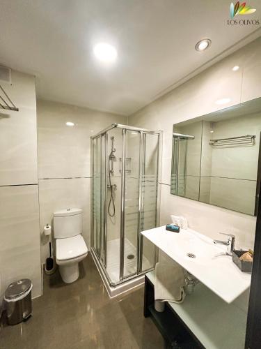 a bathroom with a shower and a sink and a toilet at HS Alcalá in Alcalá del Júcar
