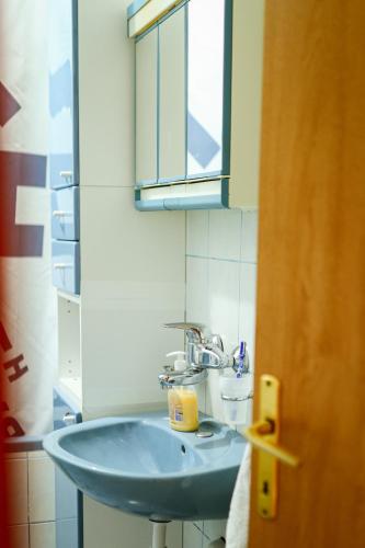 a bathroom with a blue sink and a mirror at Domaćinstvo Koprivica in Zapolje