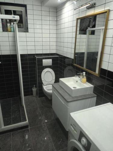 a bathroom with a toilet and a sink and a mirror at Blue point in Kragujevac