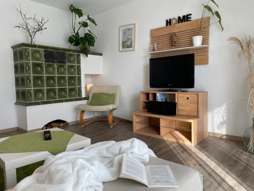 a living room with a tv and a couch at Ferienwohnungen Geier in Niederalteich