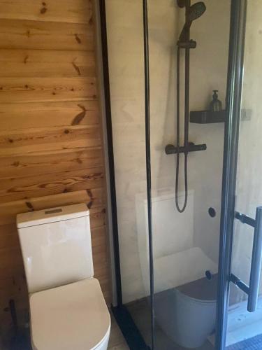 a bathroom with a toilet and a shower at La Torre d' Espinalbet in Castellar del Riu