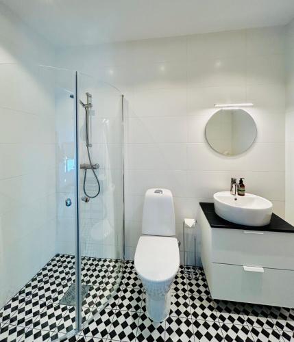 a bathroom with a toilet and a sink and a shower at Österlen, Solhögs Gård nr 2 in Hammenhög