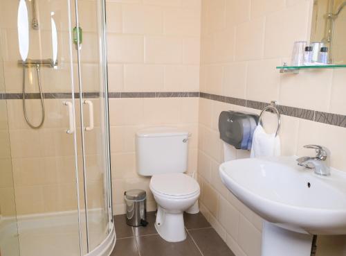 ein Badezimmer mit Toilette, Waschbecken und Dusche in der Unterkunft Feerick's Hotel in Rathowen