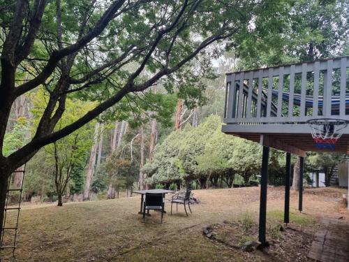 a basketball hoop in a park with a basketball hoop at Mount Buller Summer & Ski Holiday House The Bower in Merrijig