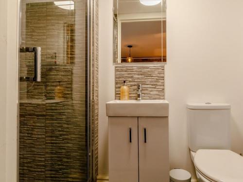 a bathroom with a toilet and a sink and a shower at 2 Bed in Lydbrook oc-55961 in Lydbrook