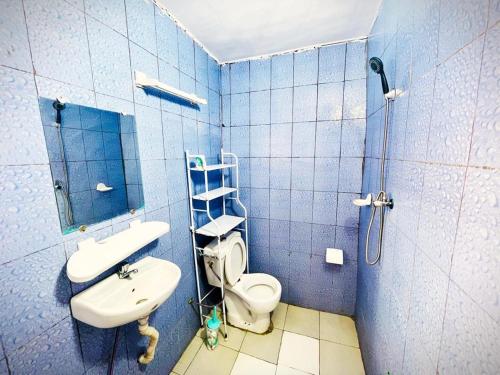 een blauw betegelde badkamer met een toilet en een wastafel bij Residence Man zele in Man