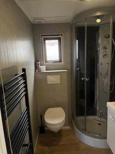 a small bathroom with a toilet and a shower at Hottub Forest Chalet op de Veluwe! in Putten