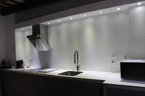 Dapur atau dapur kecil di Apartaments y Habitacions Entre Volcans