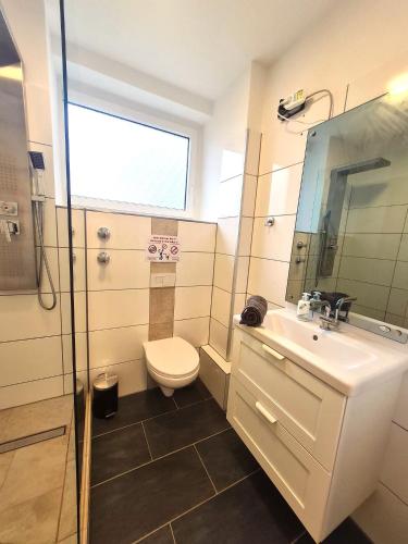 a bathroom with a toilet and a sink and a mirror at Moderne Wohnung mit Balkon und top Anbindung in Unna