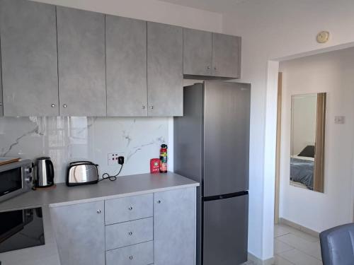 a kitchen with gray cabinets and a refrigerator at Delphi Court - large 1 bed -sleeps 4, Near sea/beach - free wifi in Limassol