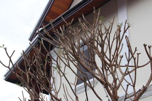 Foto de la galeria de Lux Hotel a Luang Prabang