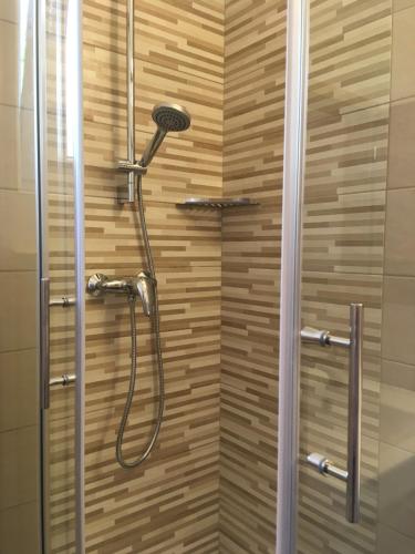 a shower with a shower head in a bathroom at Apartments Lajk in Lesce