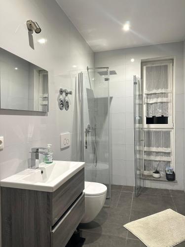 a bathroom with a sink and a toilet and a shower at Three bedroom apartment in Dingolfing