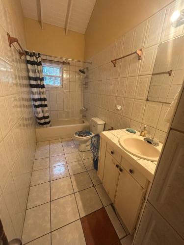 a bathroom with a sink and a toilet and a tub at Amazing Antigua Getway in Bolans