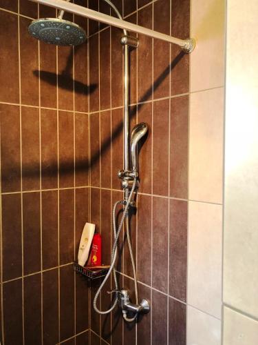 a shower in a tiled bathroom with a shower head at Οικία Χωρας Κυθνου in Kithnos