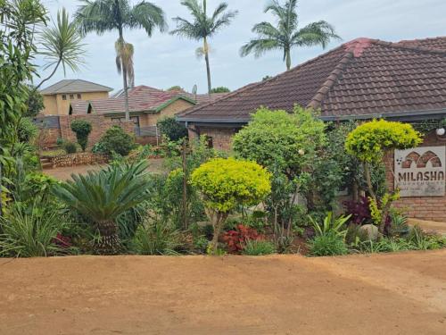 a garden in front of a house with palm trees at Milasha Guest House in Louis Trichardt