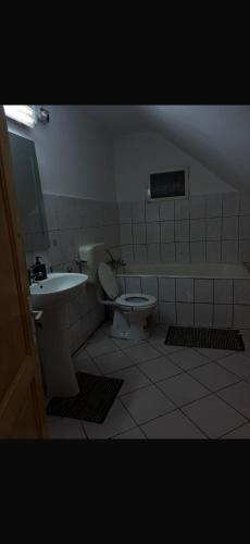 a bathroom with a toilet and a sink at Cabana Trofelor in Comandău