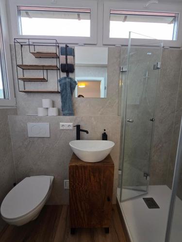 a bathroom with a sink and a toilet and a shower at Apartment mit Küche in Schwäbisch Hall