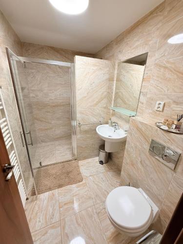 a bathroom with a shower and a toilet and a sink at Penzión Hoffer in Nitra