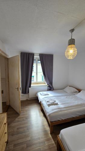Cozy 2-bedroom apartment in vibrant Zurich