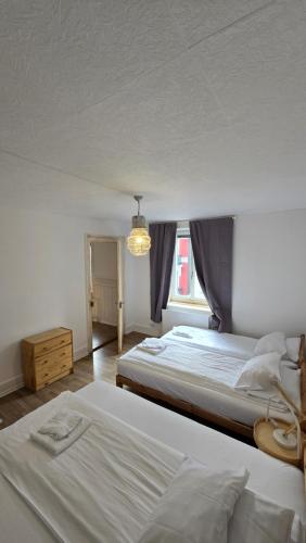 Cozy 2-bedroom apartment in vibrant Zurich
