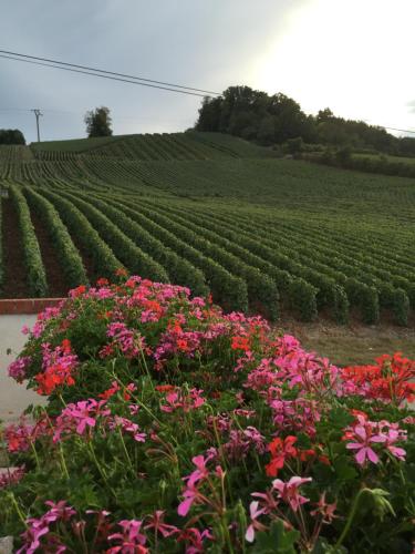 La Loge Du Vigneron – Photos 2