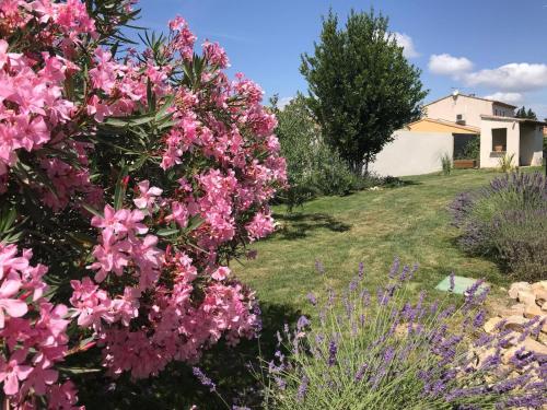 Holiday rental with pool in the Alpilles for 6 people