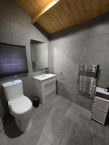 a bathroom with a white toilet and a sink at Secluded Log Cabin escape in High Wycombe