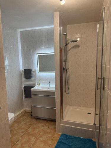 a bathroom with a shower and a tub and a sink at Les volets bleus in Saint-Saviol