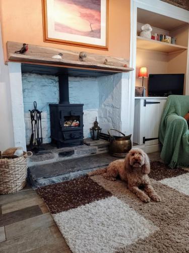 a dog laying on a rug in front of a fireplace at Middlehope Cottage in Westgate