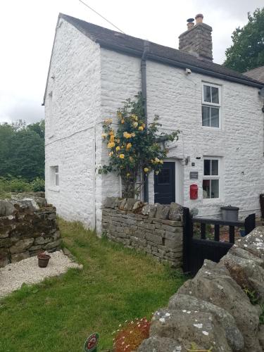 a white house with a tree in front of it at Middlehope Cottage in Westgate