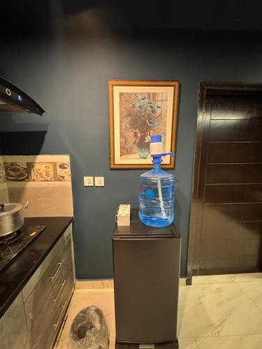 a bottle of water sitting on top of a refrigerator at Moonlit Cinema Suite in Lahore
