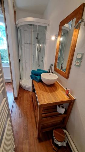 a bathroom with a sink and a shower at Studio à 70m des flots in Trébeurden