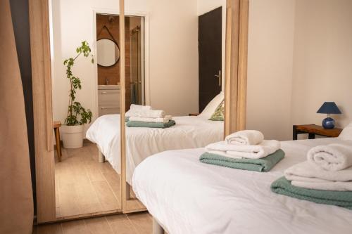 a bedroom with two beds and a mirror at Villa Pierre Blanche le calme a 5mn du centre ville in Nîmes