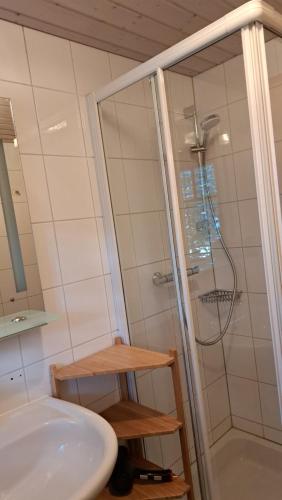a bathroom with a shower and a sink at Appartment Shelley in Vandans