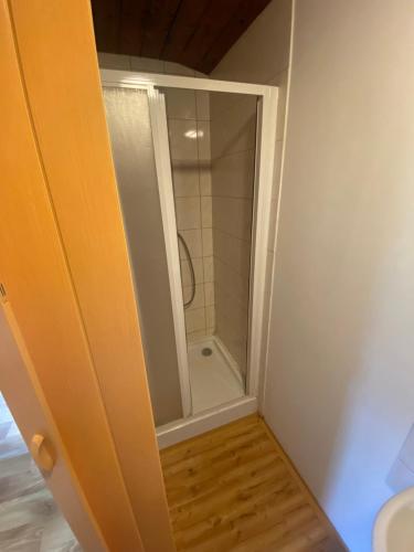 a shower with a glass door in a bathroom at Kemp Karvánky in Dráchov