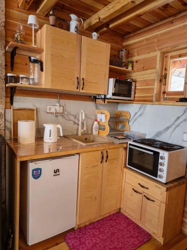 a small kitchen with wooden cabinets and a sink at Brvnara Panda Tara in Rača