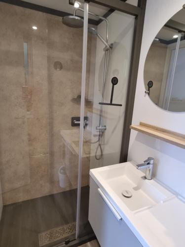 a bathroom with a shower and a sink at Tiny House in Kropswolde
