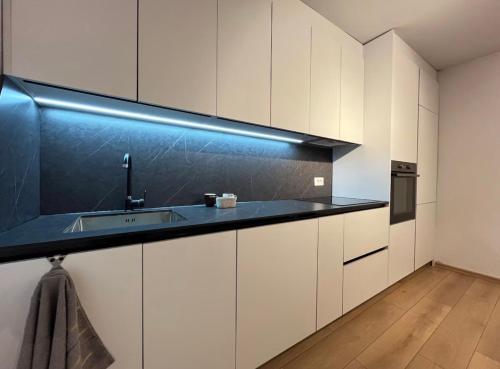 Large Apartment 3